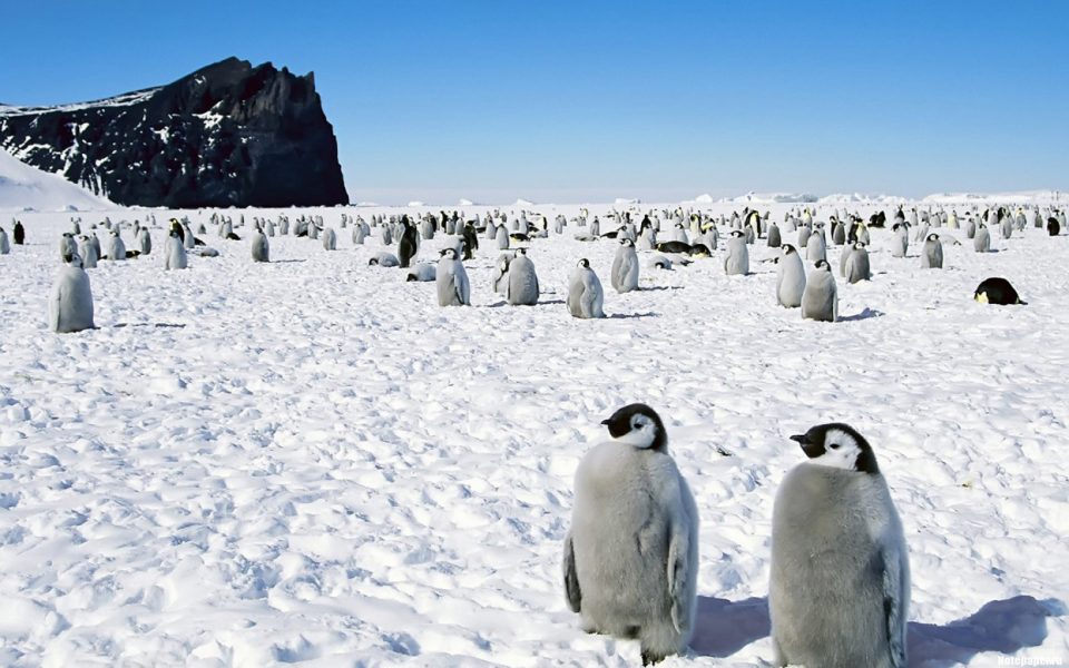 В Антарктиде нашли базу пришельцев