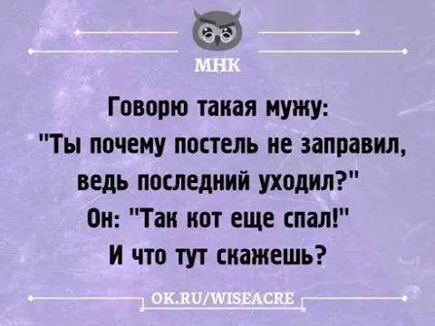 Этой ночью я пил с русскими. Всю ночь они рассказывали анекдоты и доказывали мне, что Россия, это страна дураков и плохих дорог. Под утро я с ними согласился, и они набили мне морду.