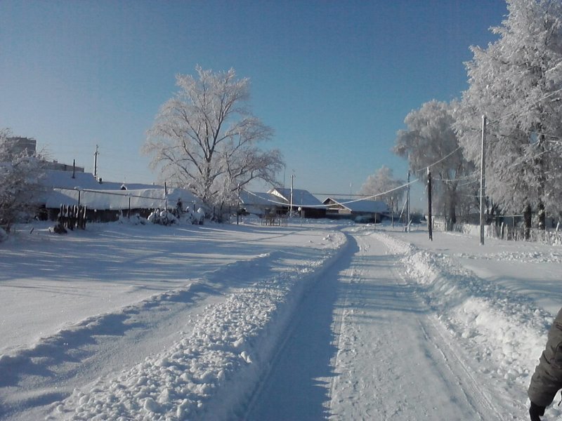 Природа одного поселка Природа одного поселка красота, природа, село