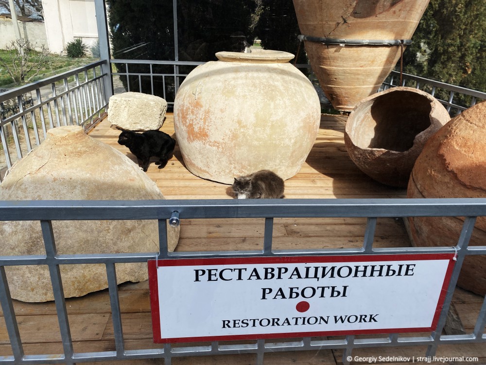 Пушистая охрана Херсонеса