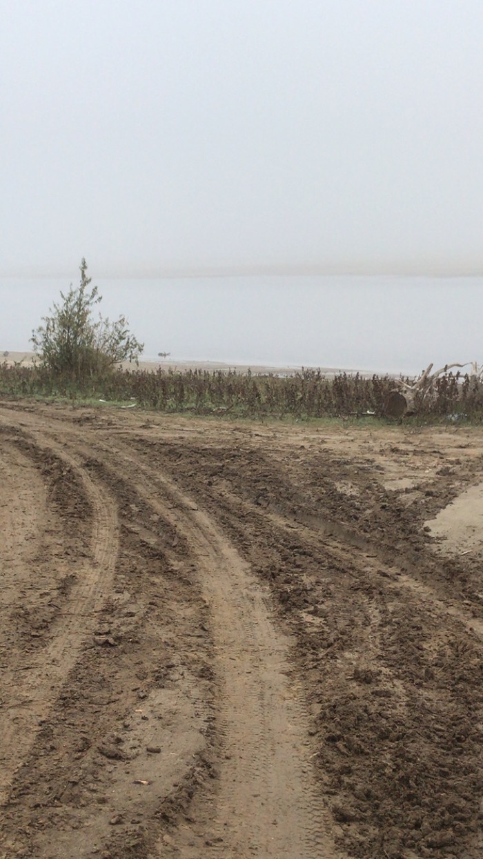 Порыбачила в Астраханской области! рыбалка, рыболовство, длиннопост
