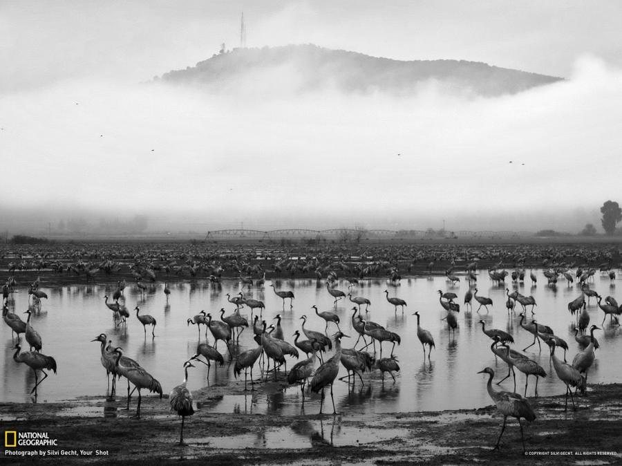 Лучшие фотографии National Geographic за январь Лучшие фотографии National Geographic за январь