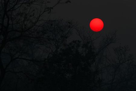 The sun rises above smoke from the burnt trees and vegetation in The Pantanal, the world's largest wetland, in Pocone, Mato Grosso state, Brazil, August 29, 2020. Picture taken August 29, 2020. REUTERS/Amanda Perobelli The sun rises above smoke from the burnt trees and vegetation in The Pantanal, the world's largest wetland, in Pocone, Mato Grosso state, Brazil, August 29, 2020. Picture taken August 29, 2020. REUTERS/Amanda Perobelli