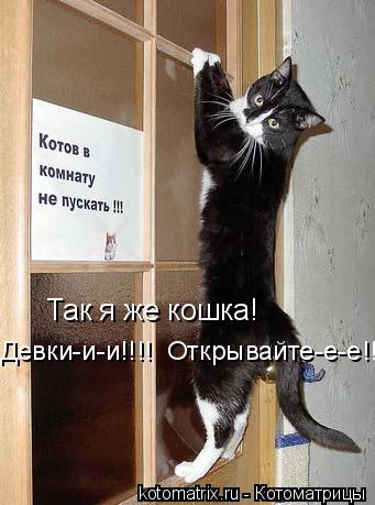  -    !  --!!!!  --!!!!
