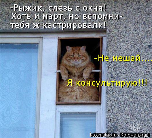 0_d6158_46b5b197_orig (528x480, 243Kb)