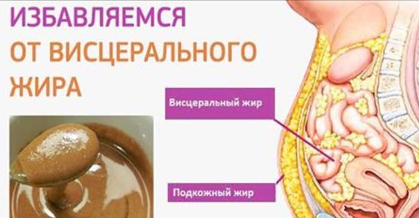 fb13_zhir