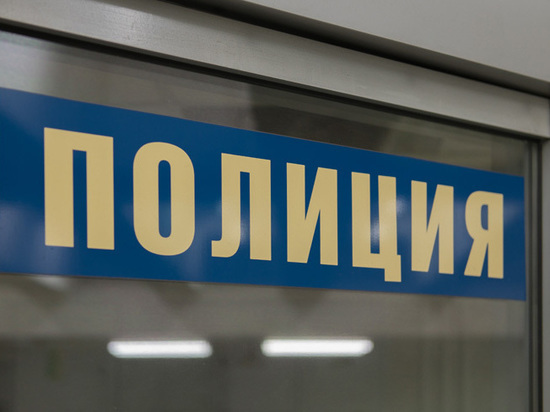 Полиция задержала на уроке школьника за поддержку Навального