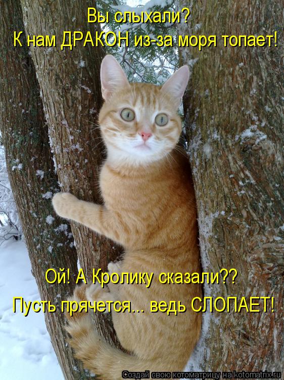  -  ?    -  ! !   ?? 
