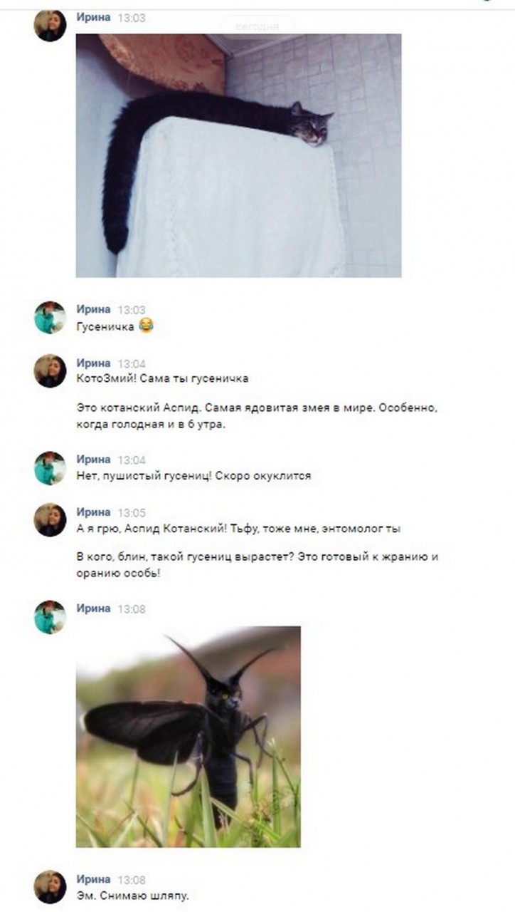 Приколы из соцсетей в забавных скриншотах Приколы из соцсетей в забавных скриншотах