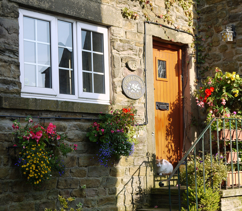 ���������� � ������ ����� � ���: ����� � �����