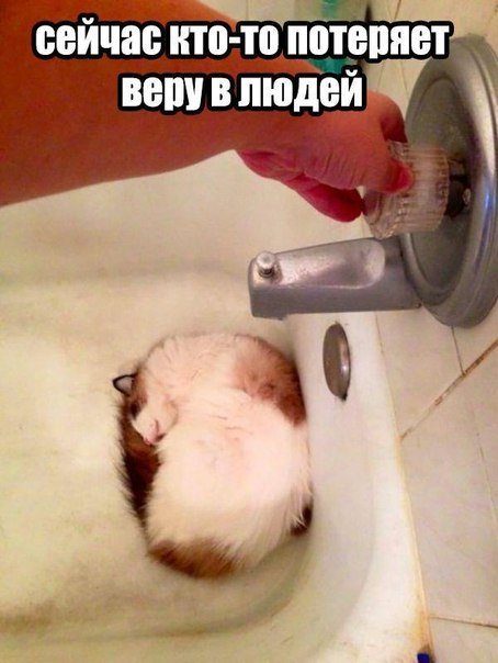 Улыбнемся. Улыбнемся.