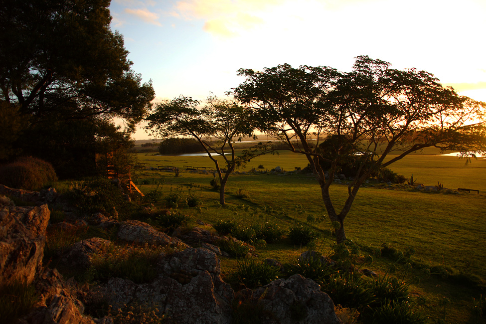 19140  Fasano Punta del Este      