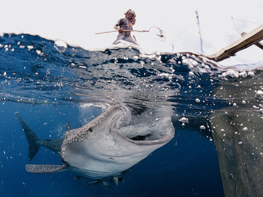 Лучшие фотографии от National Geographic за прошлый год Лучшие фотографии от National Geographic за прошлый год