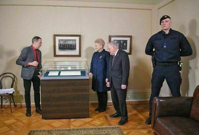  14 вещей, людей и животных, размеры которых потрясают