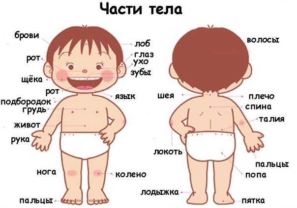 4 (604x424, 45Kb)