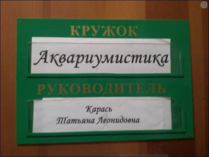 ��������� ������� 0