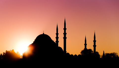 «Химкинский лес» по-стамбульски «Химкинский лес» по-стамбульски