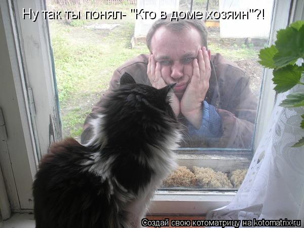 Котоматрица - Ну так ты понял- 