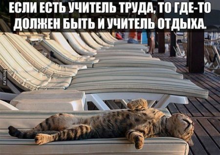 Немного анекдотов, пошлых, матерных (не реклама)