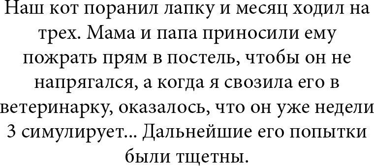 14 убойных историй для хорошего настроения