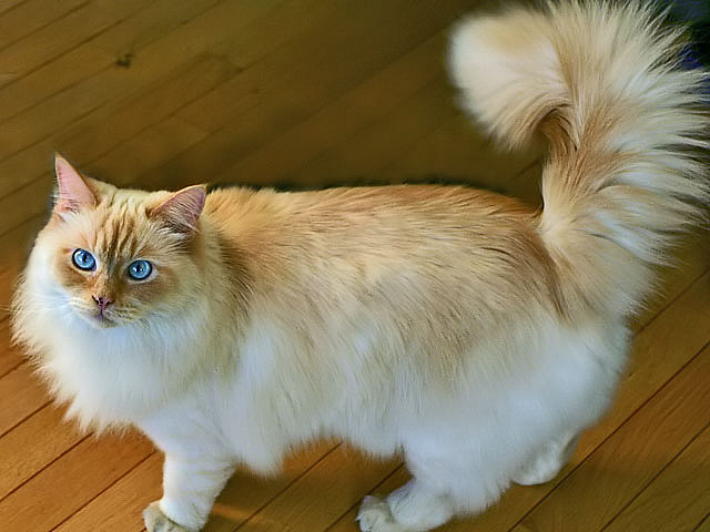     ?
