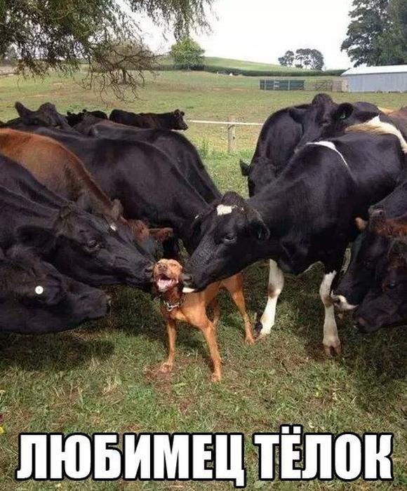 Давайте улыбаться вместе