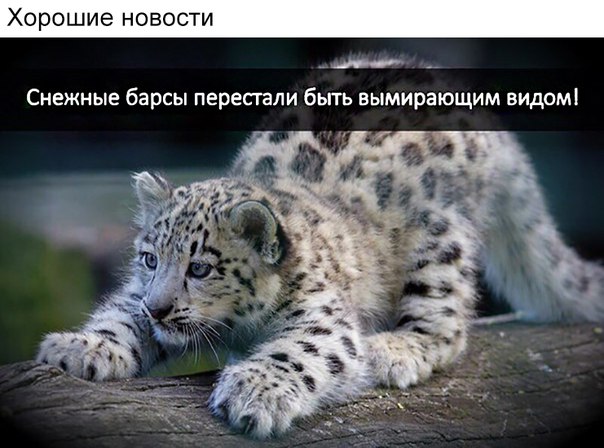 Немного ехидства, сарказма, стёба и даже чистого юмора вам в ленту!!! Немного ехидства, сарказма, стёба и даже чистого юмора вам в ленту!!!