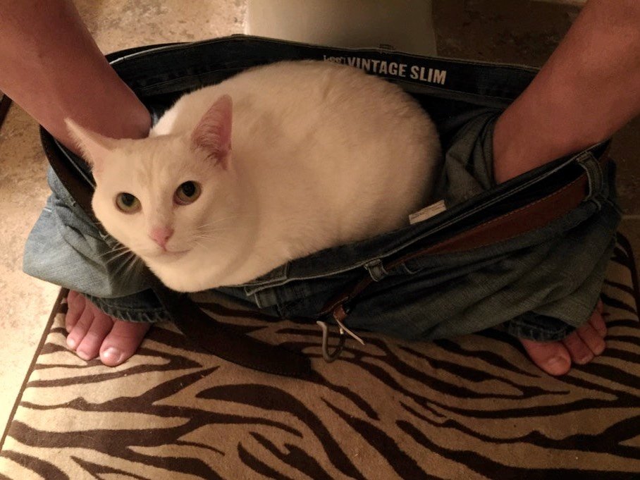 Ðез коÑа и Ð¶Ð¸Ð·Ð½Ñ Ð½Ðµ Ñа