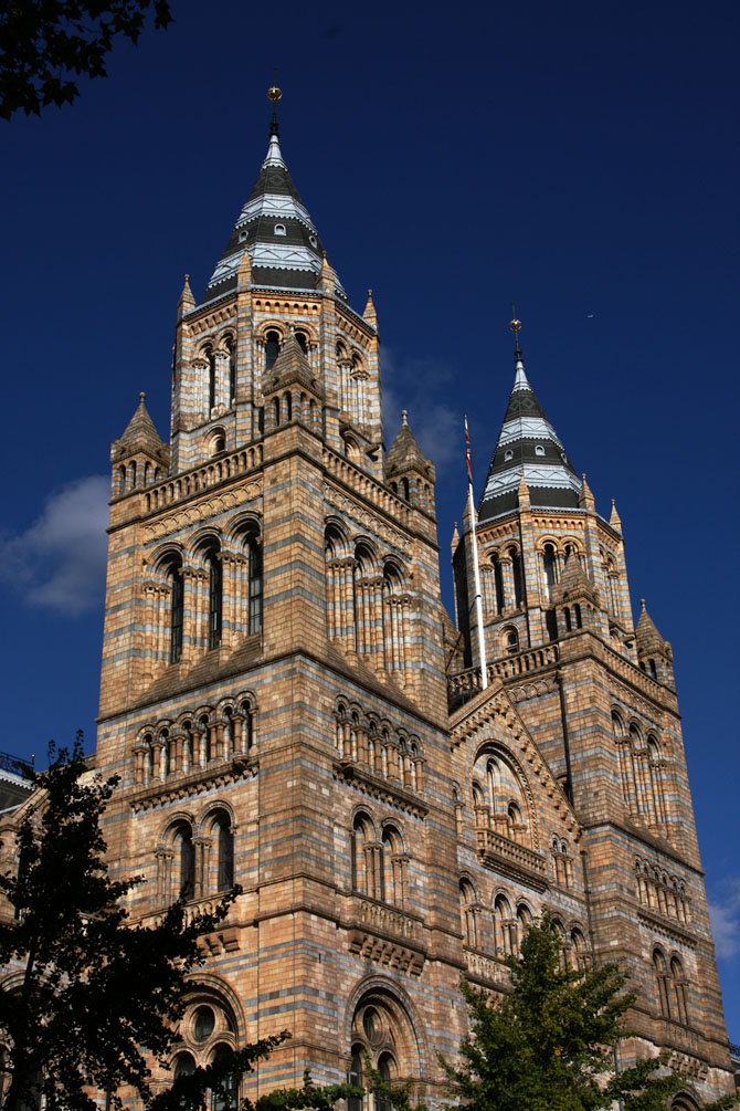 ������� ����� ���������� ������ �������