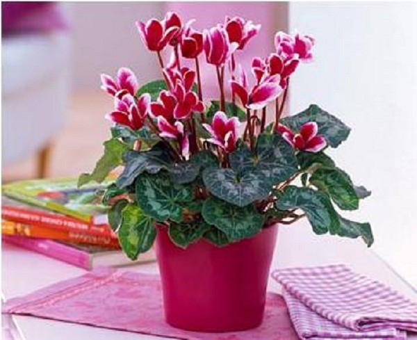 �������� ���� � �������� ��������