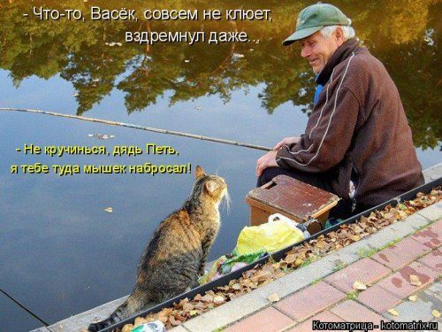 Самая убойная котоматрица Самая убойная котоматрица