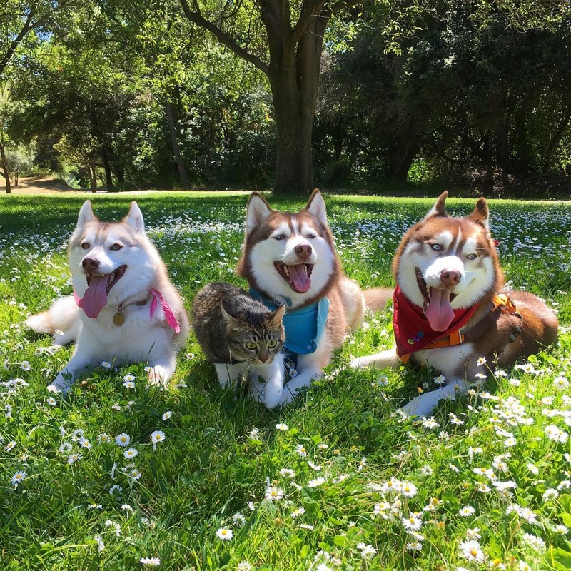,  ,    ,        ,  , , , 