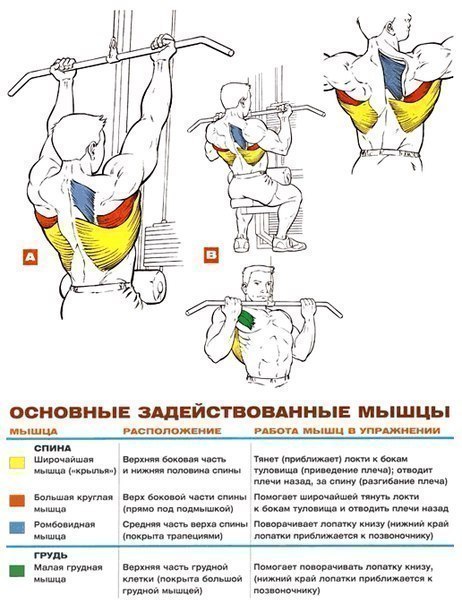 Качаем спину поясницу Качаем спину поясницу