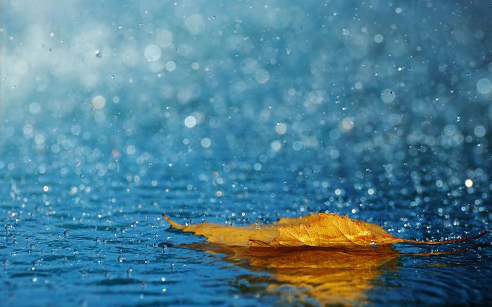 3180456_reWalls_com57255 (700x437, 235Kb)