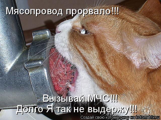  -  !!!  !!!      !!!