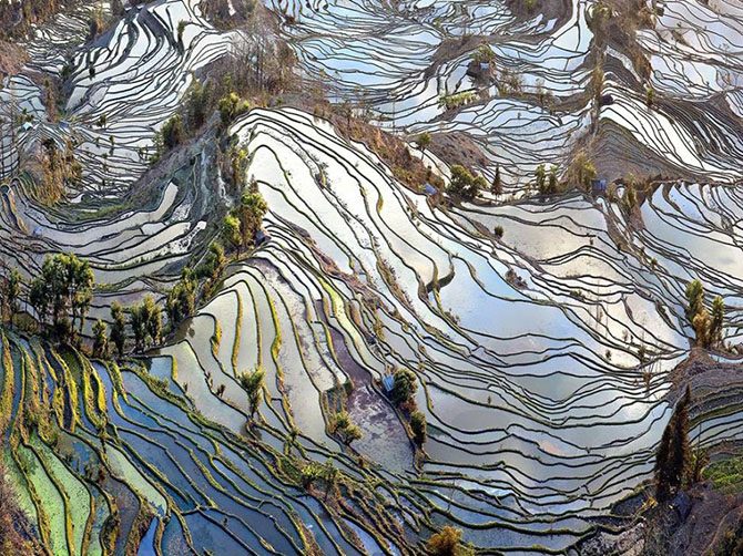 Лучшие фотографии National Geographic Лучшие фотографии National Geographic