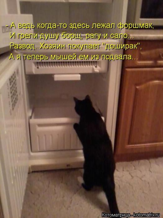 (  )