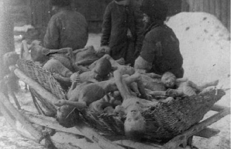 голод в ссср 1932-33