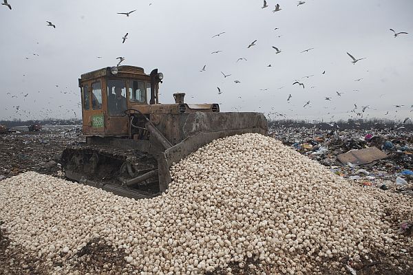 Санкции против РФ: польская продукция стала дешевле мусора Санкции против РФ: польская продукция стала дешевле мусора