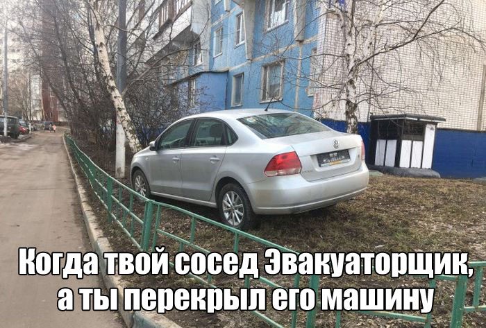 Автомобильная месть. Бессмысленная и беспощадная!