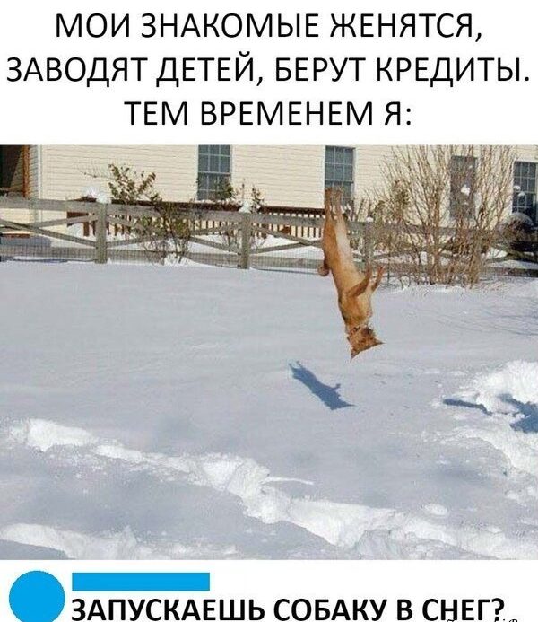 100% приколы, которые обязательно поднимут настроение 100% приколы, которые обязательно поднимут настроение
