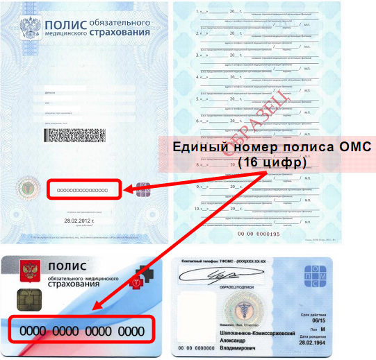 Где на страховом полисе находится номер