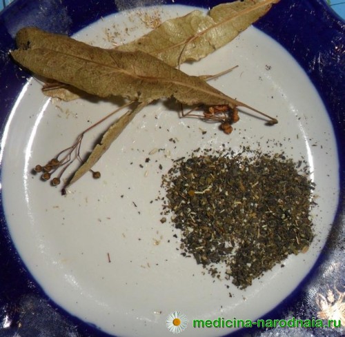 липа и мята липа и мята