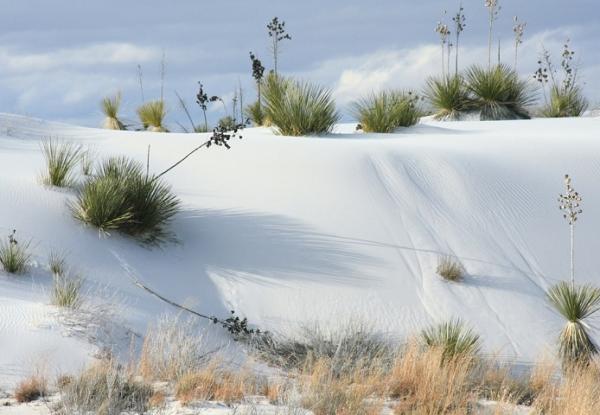 Пустыня Белых Песков (White Sands Desert) Пустыня Белых Песков (White Sands Desert)