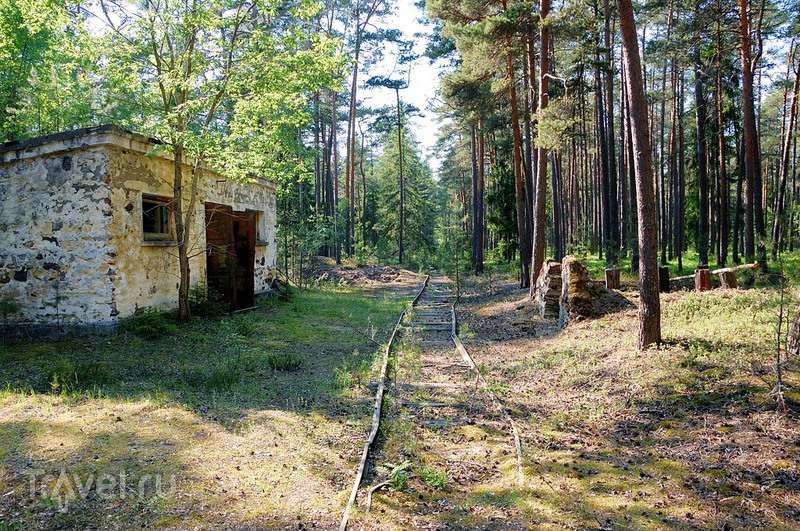 ����������� �� ������ ������ / ���� �� �������