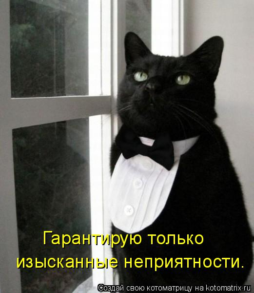 kotomatritsa_7H (521x600, 162Kb)