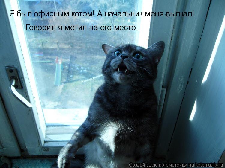  -    !    ! ,     