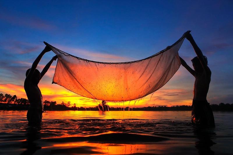 Whanset22 �������� �������� ������� � ����������� �������� �������