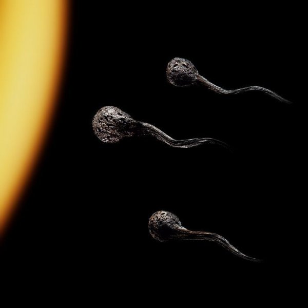 Креативные картины из горящих спичек (24 фото) Креативные картины из горящих спичек (24 фото)