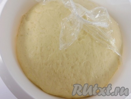 Тесто поместить в глубокую миску, сверху накрыть пленкой и оставить в тепле до увеличения объема в 2-3 раза (около 1 часа 20 минут).
